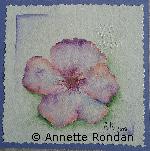 Annette Rondan peintre spécialisée en Aquarellesreconnue pour ses Fleurs