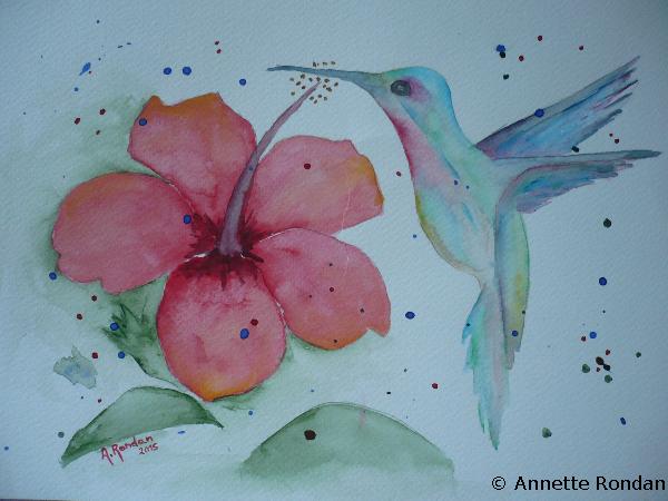 Annette Rondan artiste et créateur de Colibri (Galerie Peintures - Aquarelles - Fleurs)
