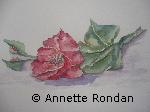 Annette Rondan peintre artiste français de Aquarellesreconnue pour ses Fleurs