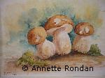 Annette Rondan peintre spécialisée en Aquarellesconnue pour ses Natures mortes