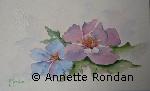 Annette Rondan a aussi crée Colibri (Galerie Peintures - Aquarelles - Fleurs) dans Galerie Peintures - Aquarelles - Fleurs